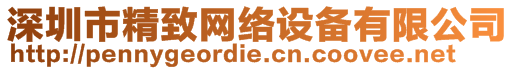 深圳市精致網(wǎng)絡(luò)設(shè)備有限公司