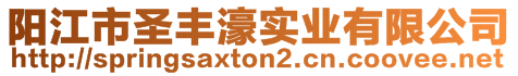 陽江市圣豐濠實業有限公司