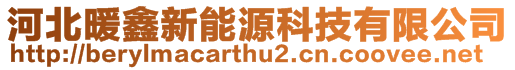 河北暖鑫新能源科技有限公司