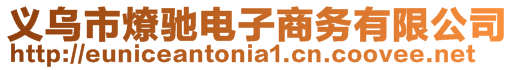 義烏市燎馳電子商務有限公司