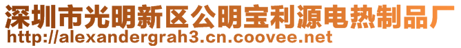 深圳市光明新区公明宝利源电热制品厂