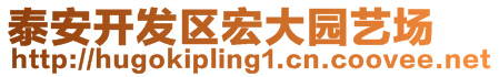 泰安開發(fā)區(qū)宏大園藝場