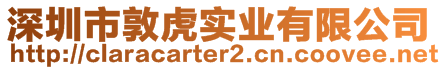 深圳市敦虎实业有限公司