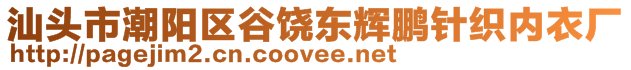 汕頭市潮陽區(qū)谷饒東輝鵬針織內(nèi)衣廠