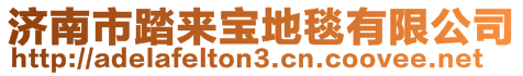 濟(jì)南市踏來寶地毯有限公司