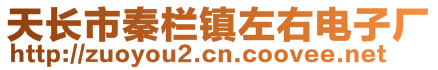 天長市秦欄鎮(zhèn)左右電子廠