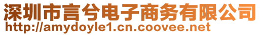 深圳市言兮電子商務(wù)有限公司