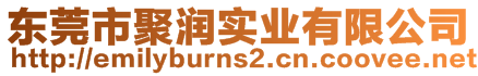 東莞市聚潤(rùn)實(shí)業(yè)有限公司