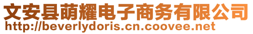 文安县萌耀电子商务有限公司