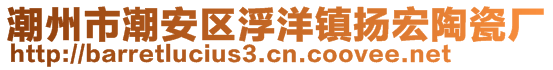 潮州市潮安區(qū)浮洋鎮(zhèn)揚(yáng)宏陶瓷廠