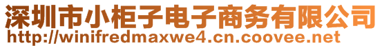 深圳市小柜子电子商务有限公司