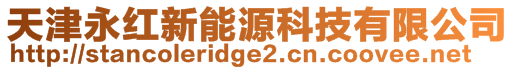 天津永紅新能源科技有限公司