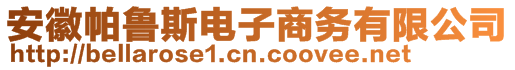 安徽帕鲁斯电子商务有限公司