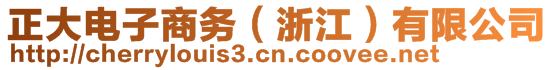 正大電子商務(wù)（浙江）有限公司