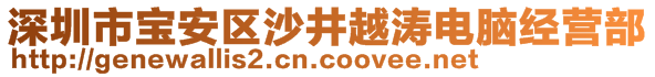 深圳市寶安區(qū)沙井越濤電腦經(jīng)營部