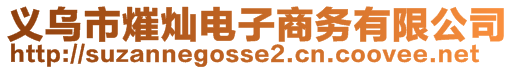 義烏市熣燦電子商務(wù)有限公司