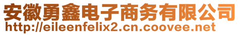 安徽勇鑫電子商務(wù)有限公司