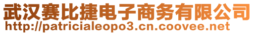 武漢賽比捷電子商務有限公司