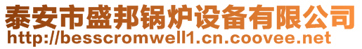 泰安市盛邦鍋爐設備有限公司