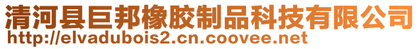 清河縣巨邦橡膠制品科技有限公司