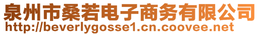 泉州市桑若電子商務(wù)有限公司