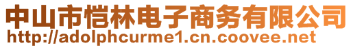 中山市愷林電子商務(wù)有限公司