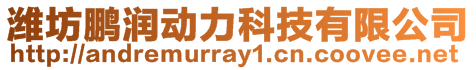 濰坊鵬潤動力科技有限公司