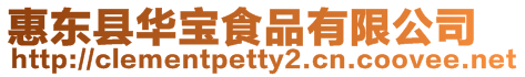 惠東縣華寶食品有限公司