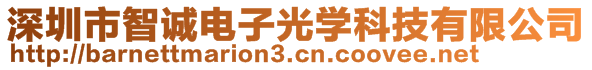 深圳市智诚电子光学科技有限公司