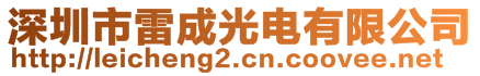 深圳市雷成光电有限公司