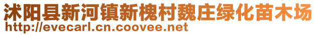 沭陽縣新河鎮(zhèn)新槐村魏莊綠化苗木場