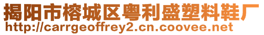 揭陽市榕城區(qū)粵利盛塑料鞋廠