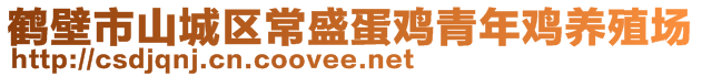 鹤壁市山城区常盛蛋鸡青年鸡养殖场