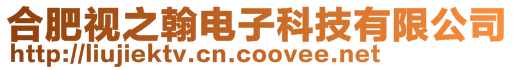 合肥視之翰電子科技有限公司