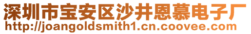 深圳市寶安區(qū)沙井恩慕電子廠