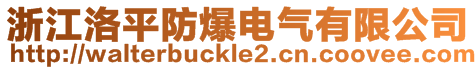 浙江洛平防爆電氣有限公司