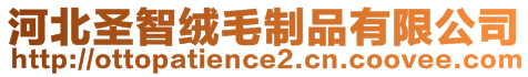 河北圣智絨毛制品有限公司