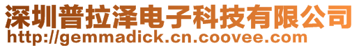 深圳普拉澤電子科技有限公司