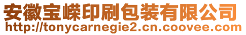 安徽寶嶸印刷包裝有限公司