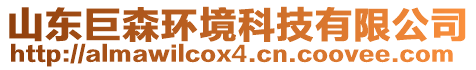 山東巨森環(huán)境科技有限公司