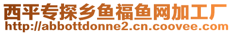 西平專探鄉(xiāng)魚福魚網(wǎng)加工廠