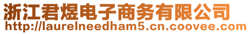 浙江君煜電子商務(wù)有限公司