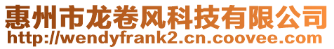 惠州市龍卷風科技有限公司