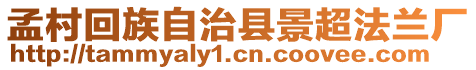 孟村回族自治縣景超法蘭廠(chǎng)