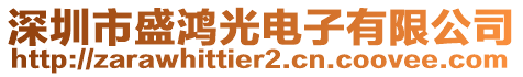 深圳市盛鴻光電子有限公司