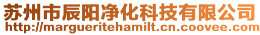 蘇州市辰陽凈化科技有限公司