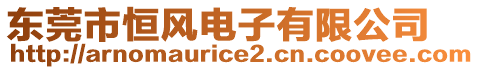 東莞市恒風電子有限公司