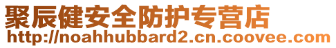 聚辰健安全防護專營店