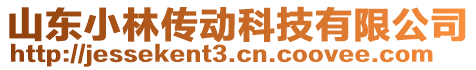 山东小林传动科技有限公司