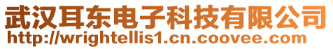 武漢耳東電子科技有限公司